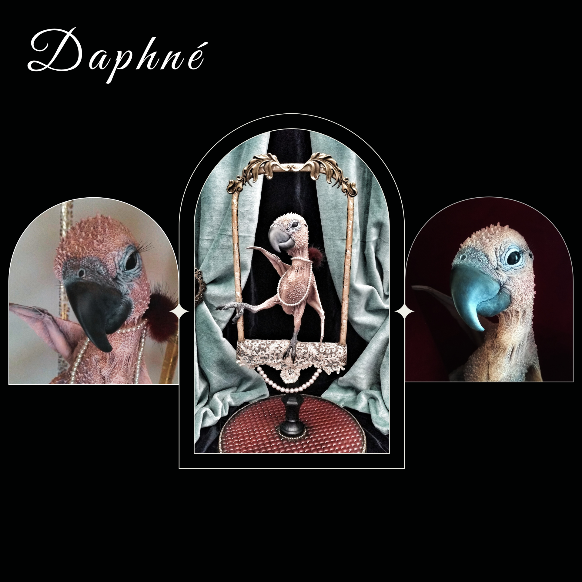 Daphne