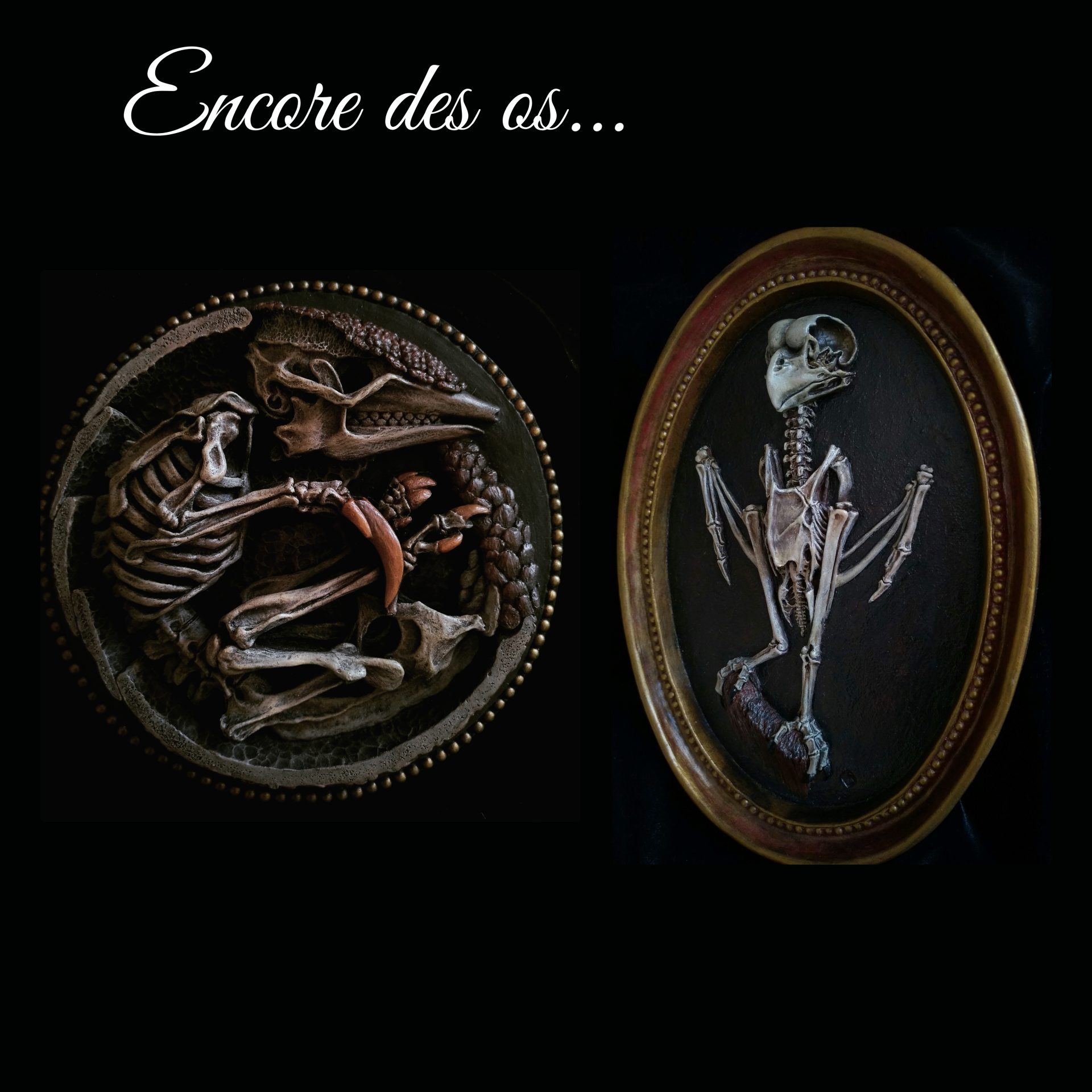 Encore des os
